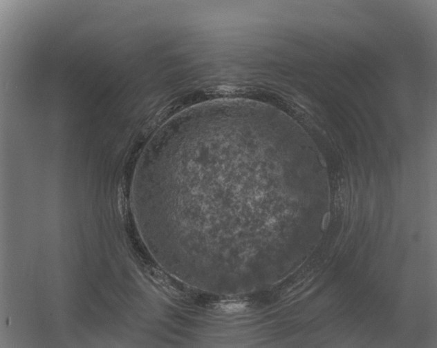 X0000056340651200509021657
