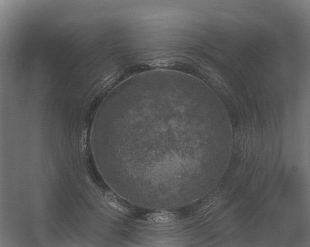 X0000056340652200509021657