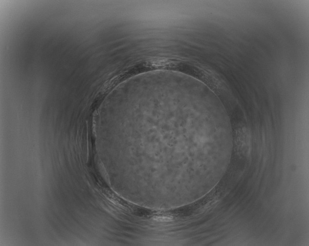 X0000056340653200509021657
