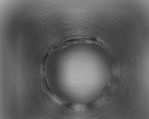 X0000056340670200509021657