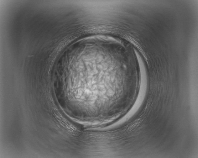 X0000056340673200509021656