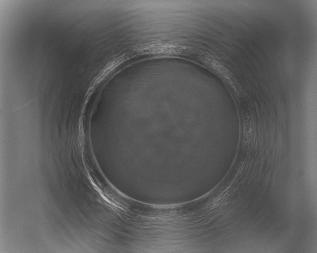 X0000056340674200509021656