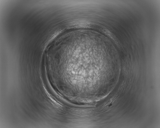 X0000056340677200509021656