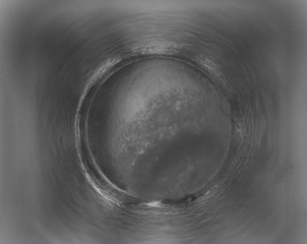 X0000056340678200509021656