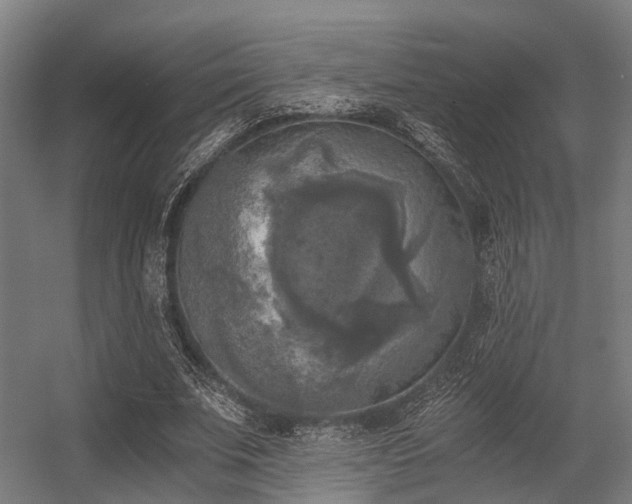 X0000056340679200509021656