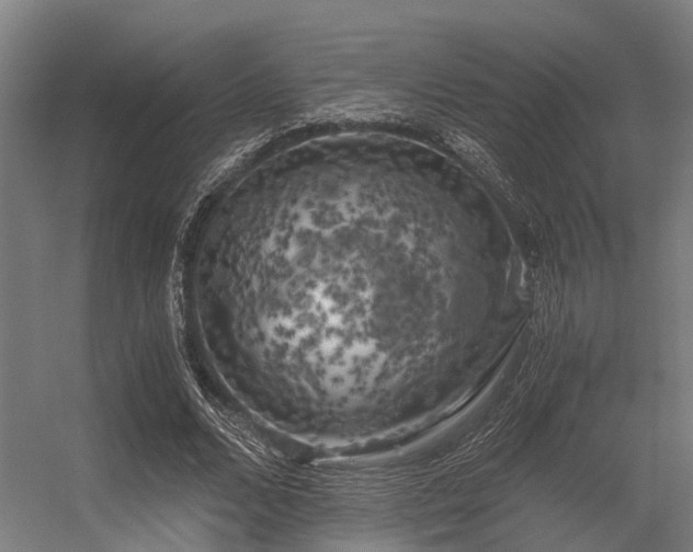 X0000056340680200509021656