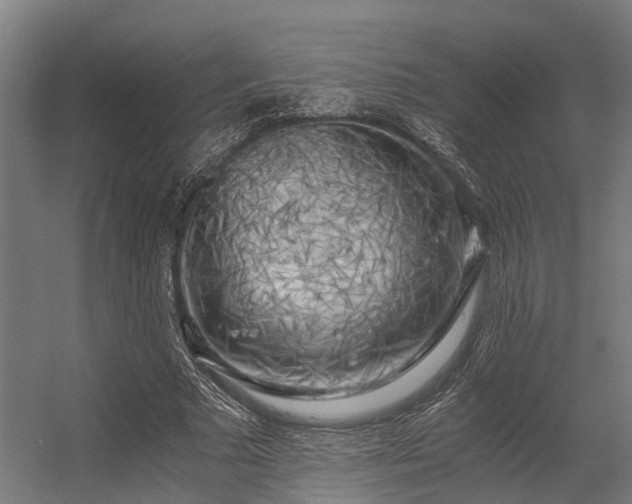 X0000056340681200509021656