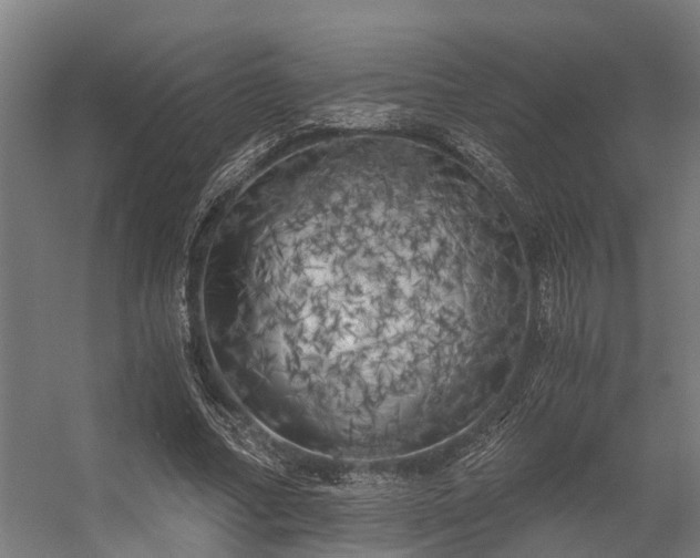 X0000056340682200509021656