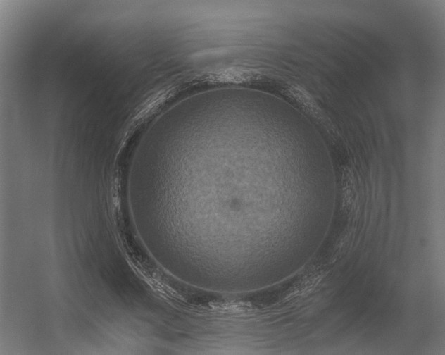 X0000056340683200509021656
