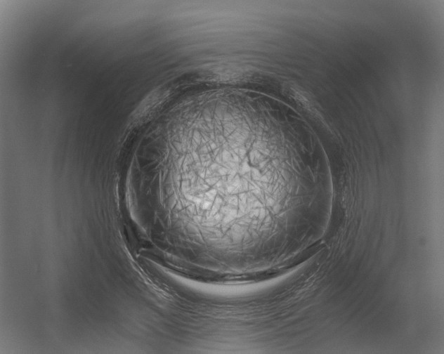 X0000056340685200509021656