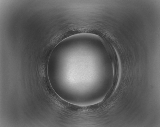 X0000056340689200509021656