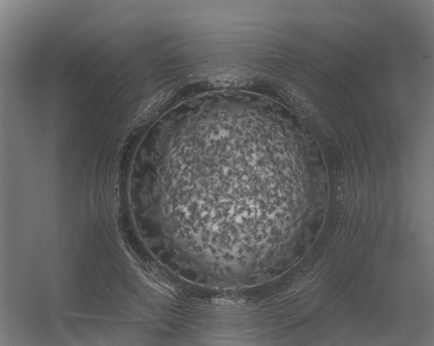X0000056340690200509021656