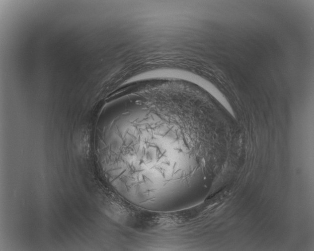 X0000056340697200509021656