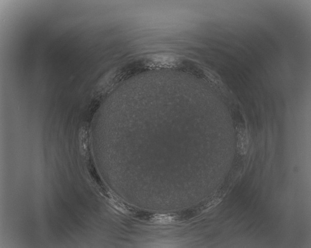 X0000056340701200509021656