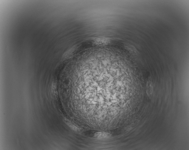 X0000056340714200509021655