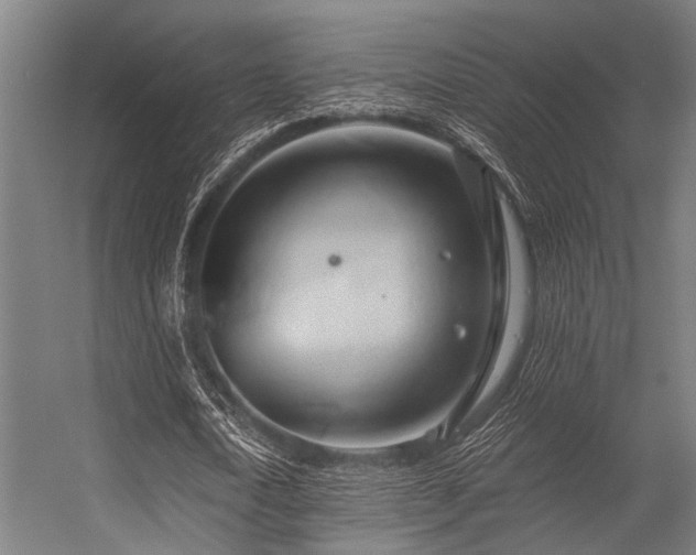 X0000056340722200509021655