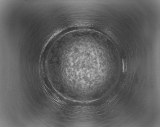 X0000056340723200509021655
