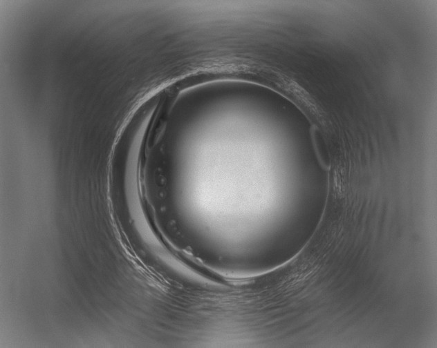 X0000056340724200509021655