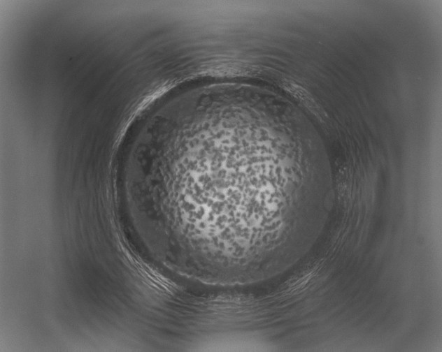 X0000056340727200509021655