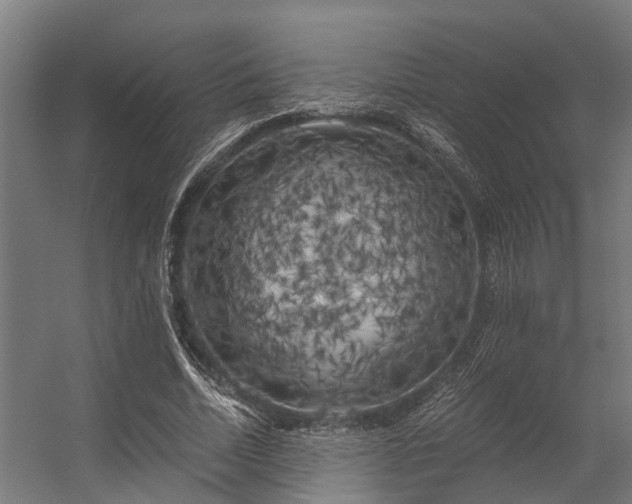 X0000056340730200509021655