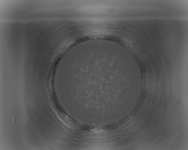 X0000056340742200509021655