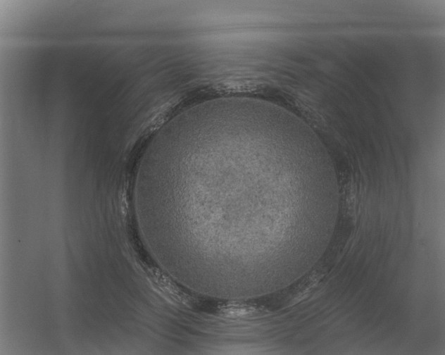 X0000056340746200509021655