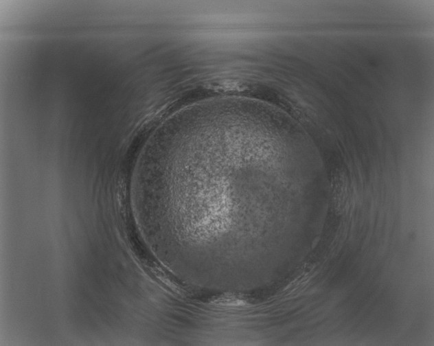 X0000056340747200509021655