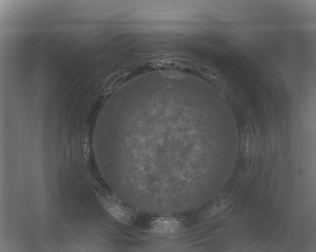 X0000056340749200509021655