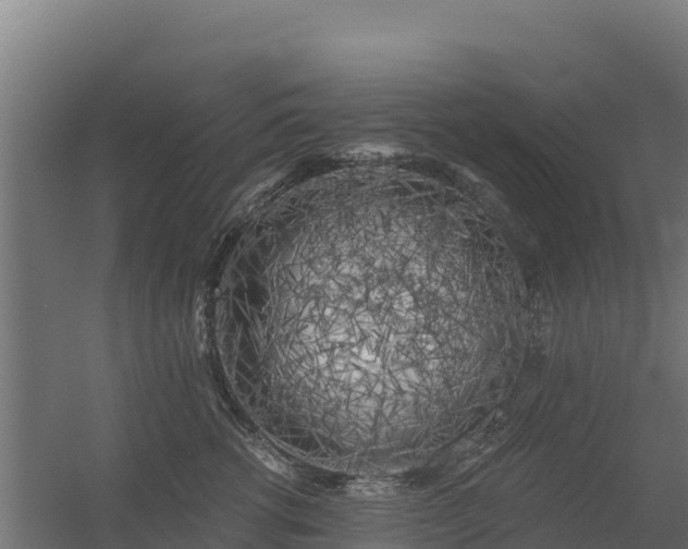 X0000056340762200509021655