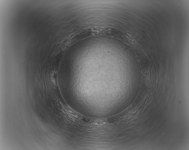 X0000056340770200509021655