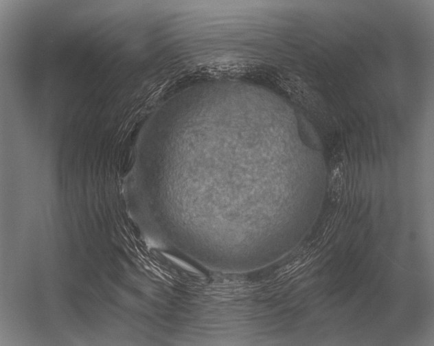 X0000056340772200509021654