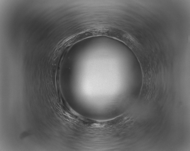 X0000056340773200509021654