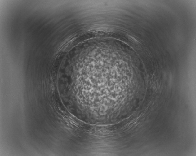 X0000056340774200509021654