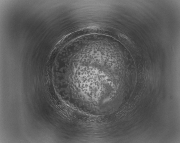 X0000056340776200509021654
