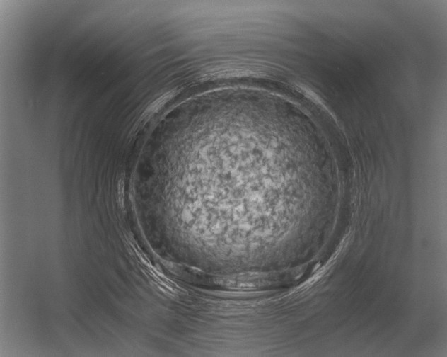 X0000056340777200509021654