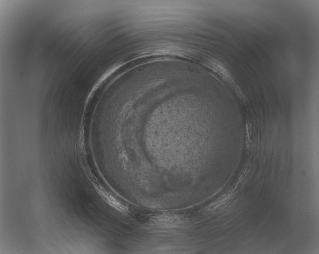 X0000056340780200509021654