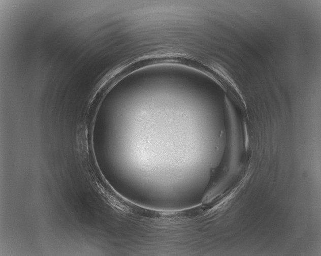 X0000056340781200509021654