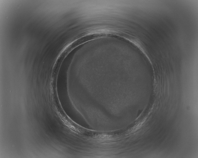 X0000056340783200509021654