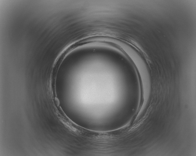 X0000056340788200509021654