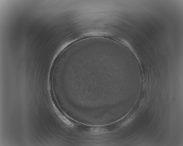 X0000056340795200509021654