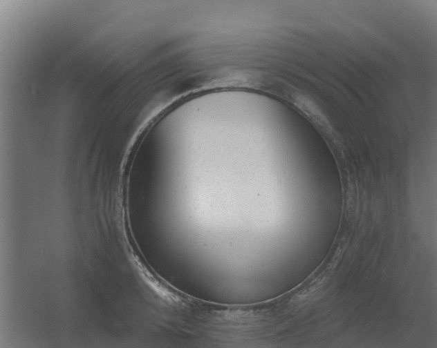 X0000056340800200509021654