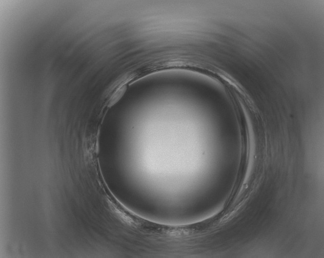 X0000056340801200509021654