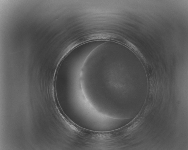 X0000056340802200509021654
