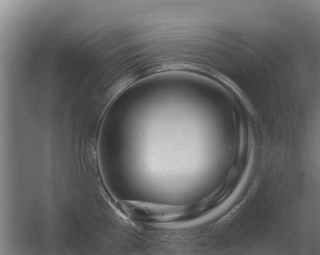 X0000056340809200509021654