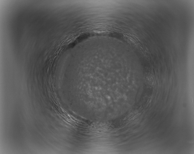 X0000056340817200509021653