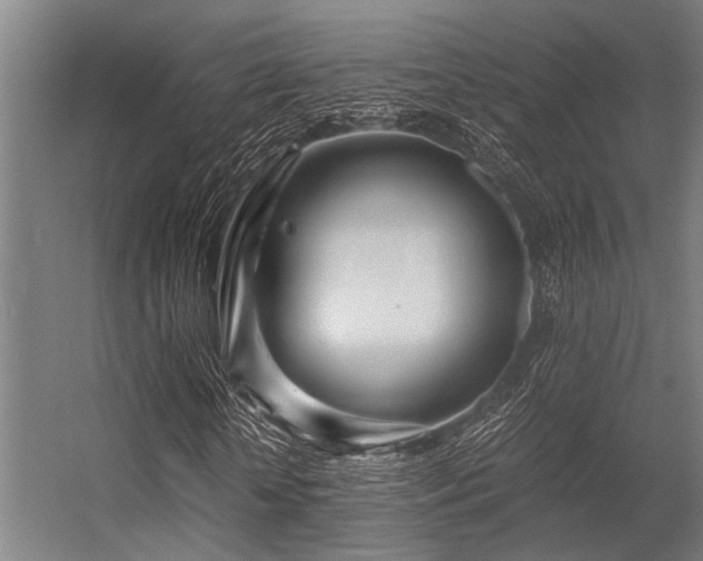 X0000056340818200509021653