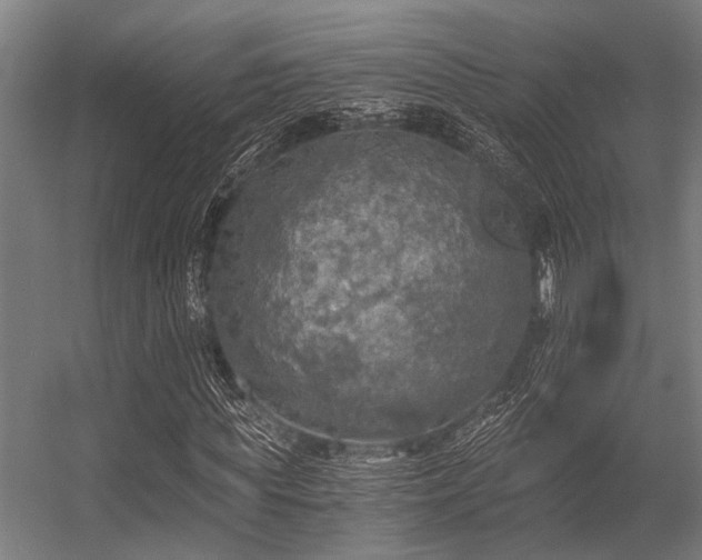 X0000056340819200509021653