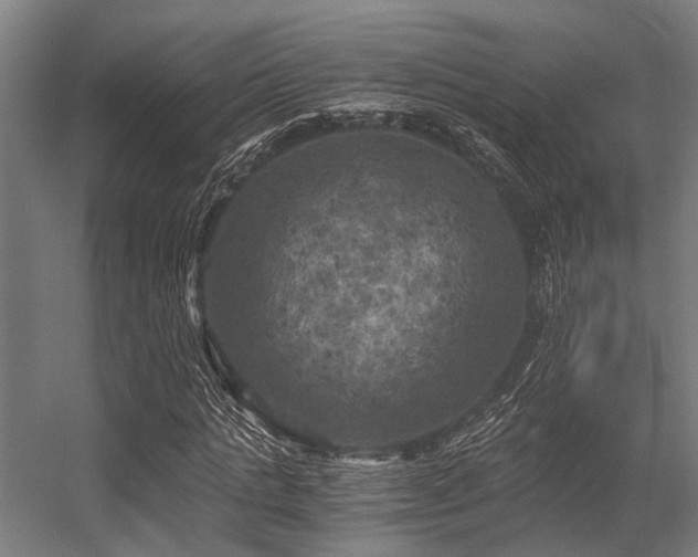X0000056340821200509021653