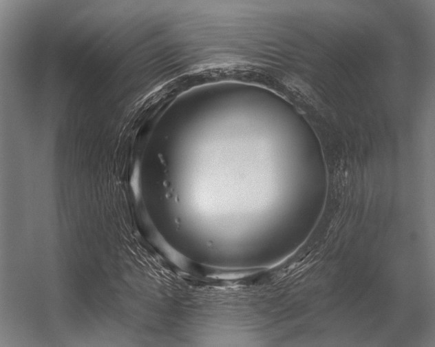 X0000056340822200509021653