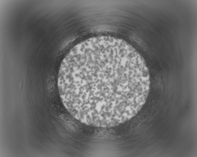 X0000056340824200509021653